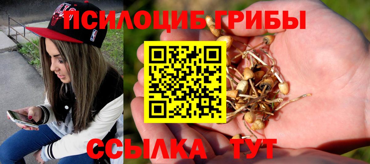Галлюциногенные грибы Cubensis Сосновый Бор