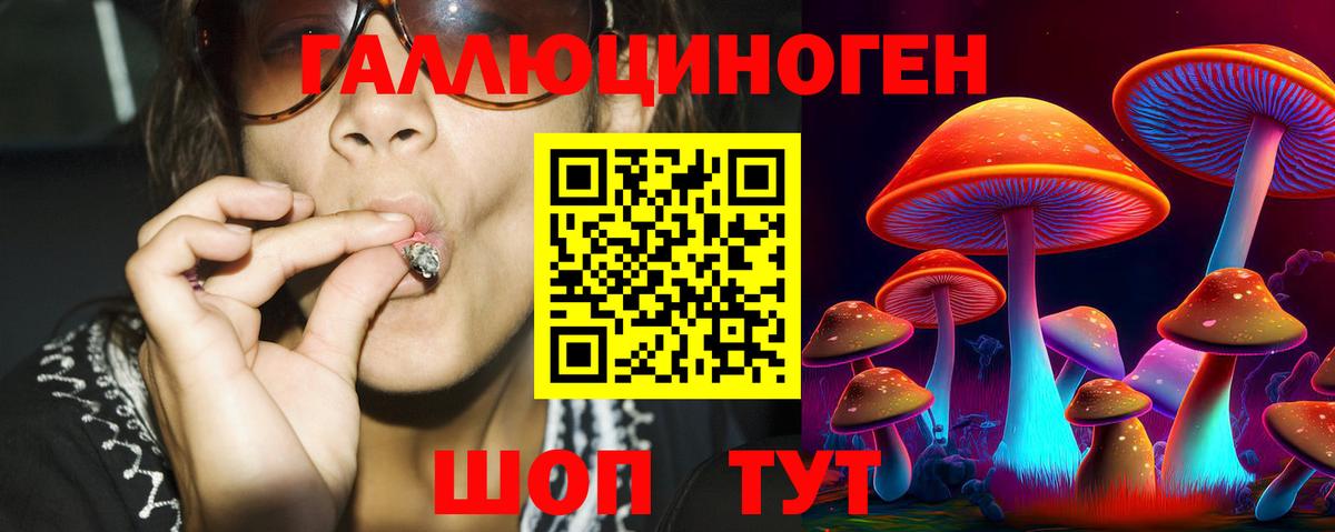 Сосновый Бор  Псилоцибиновые грибы Psilocybine cubensis  Галлюциногенные грибы MAGIC MUSHROOMS  Вход с VPN 