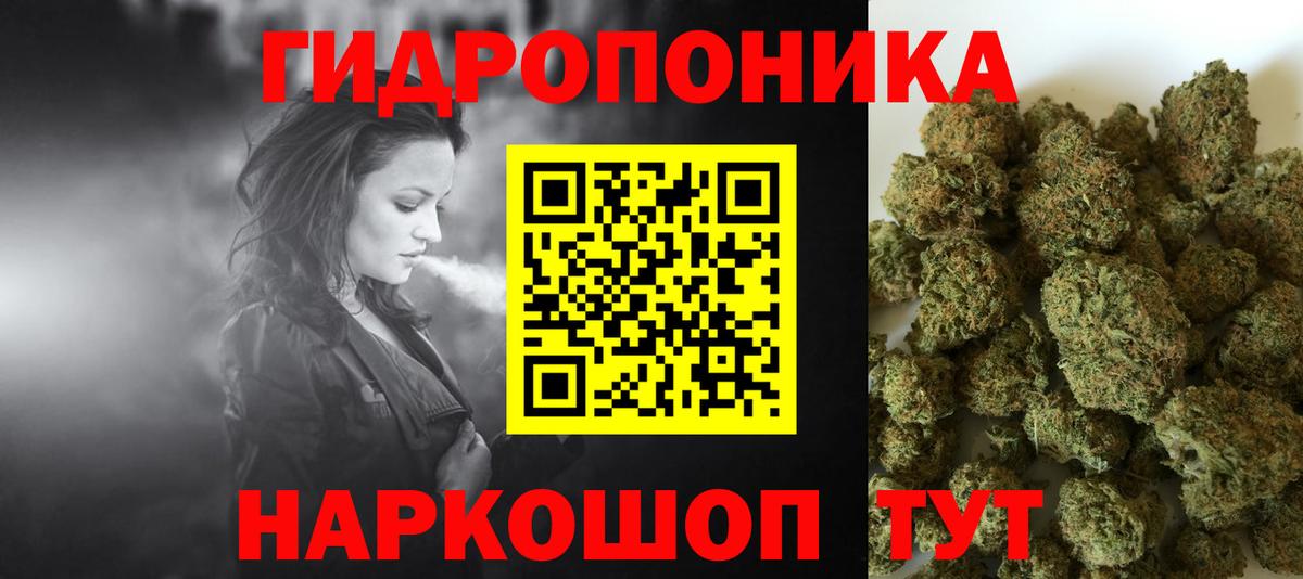 Бошки марихуана марихуана  Канабис марихуана  Вход с VPN  Сосновый Бор 